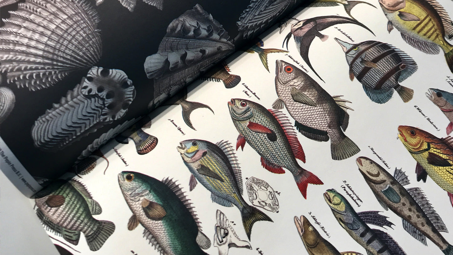 Pepin Press Gift and Creative Paper Book Vol 89 Marine hochwertiges Geschenkpapier- und Bastelbuch mit maritimen und nautischen Mustern