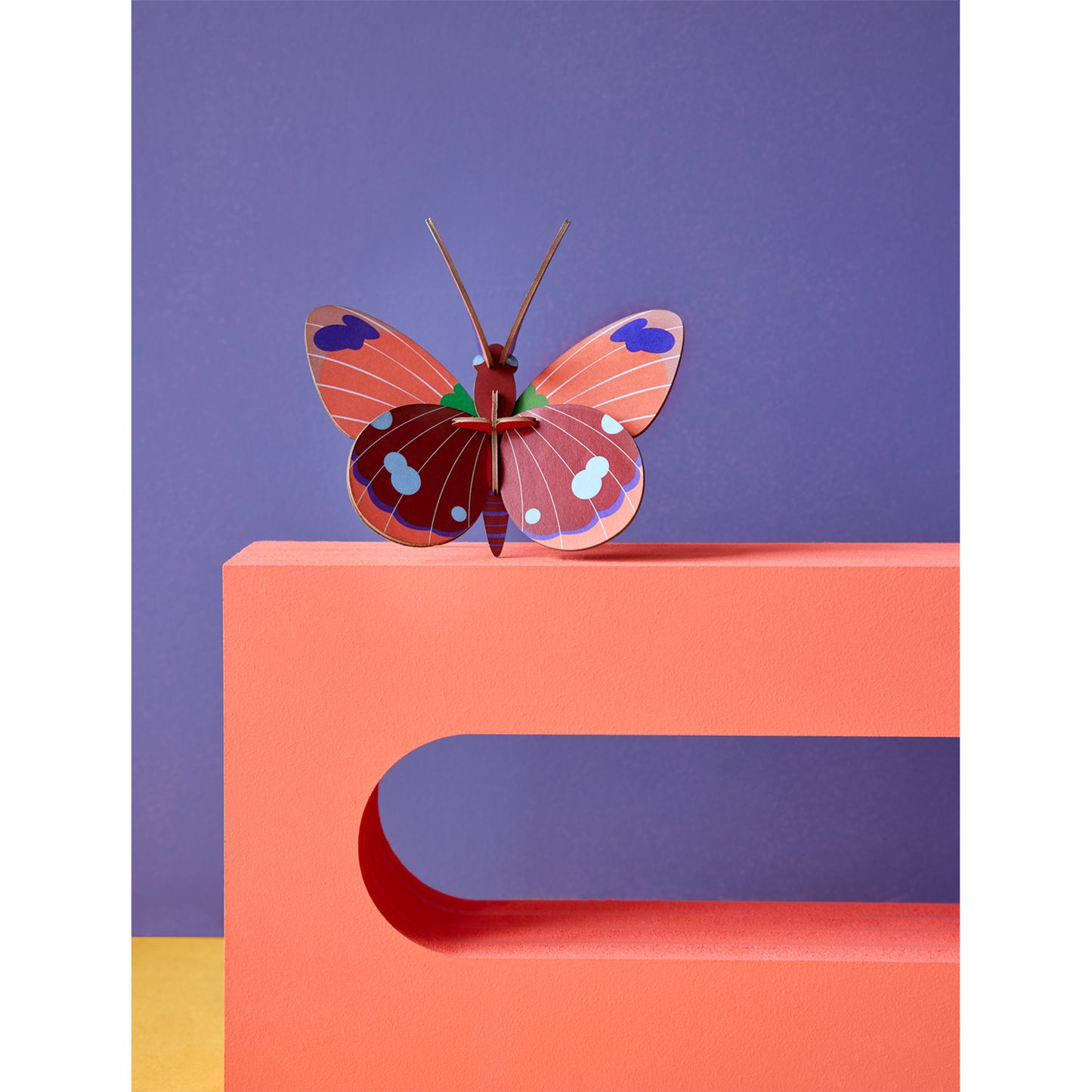 Studio ROOF - Wall Art - Delias Butterfly