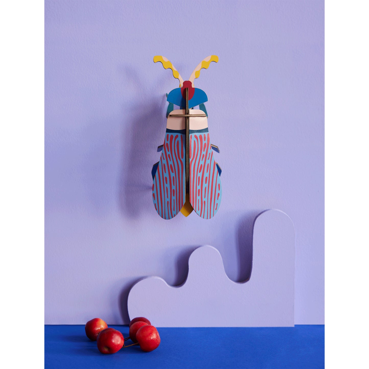 Studio ROOF - Wall Art - Striped Wing Beetle