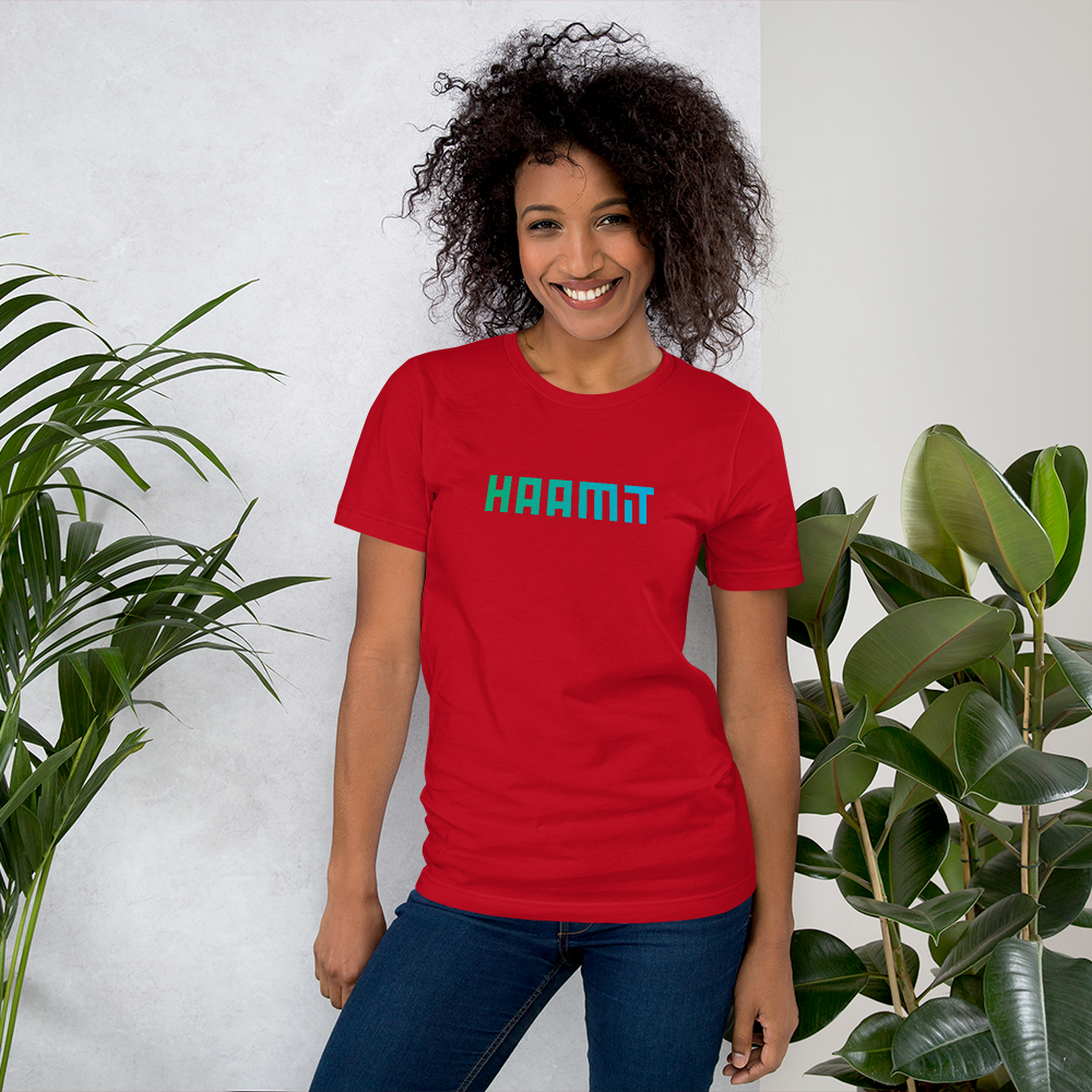 T-Shirt HAAMIT blau melange