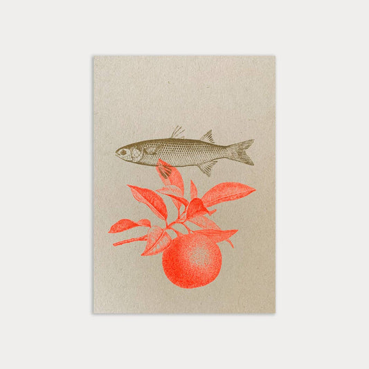 Postkarte Togethery „Fisch mit Orange", Format A6, Risographie