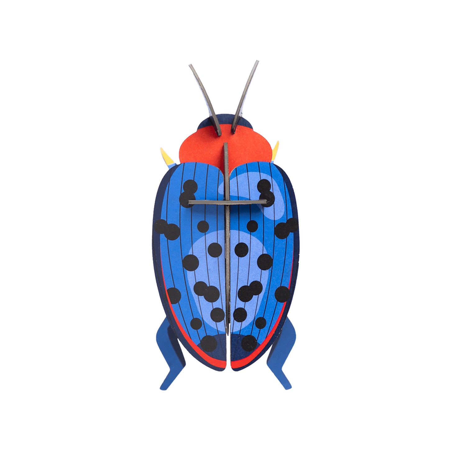 Studio ROOF - Wall Art - Fungus Beetle