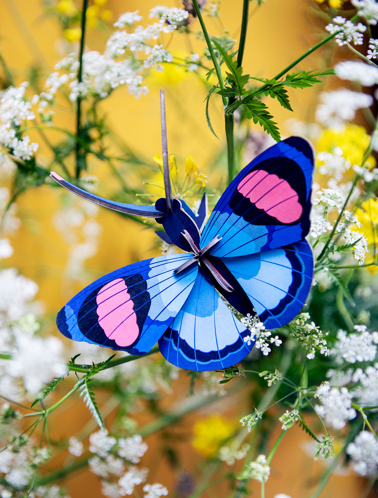 Studio ROOF - Wall Art - Peacock Butterfly