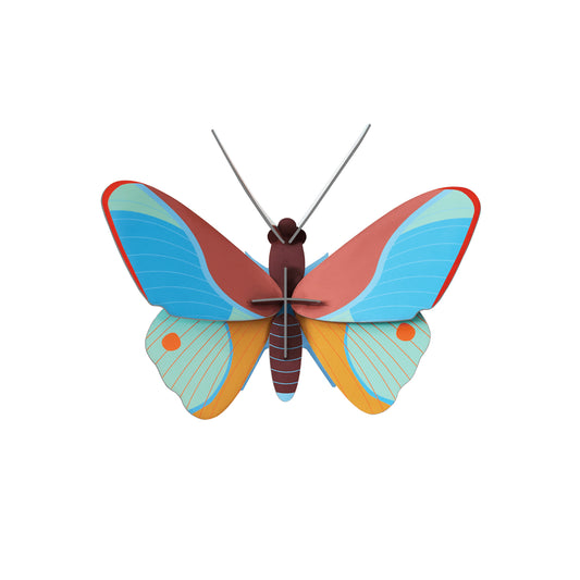 Studio ROOF - Wall Art - Claudina Butterfly