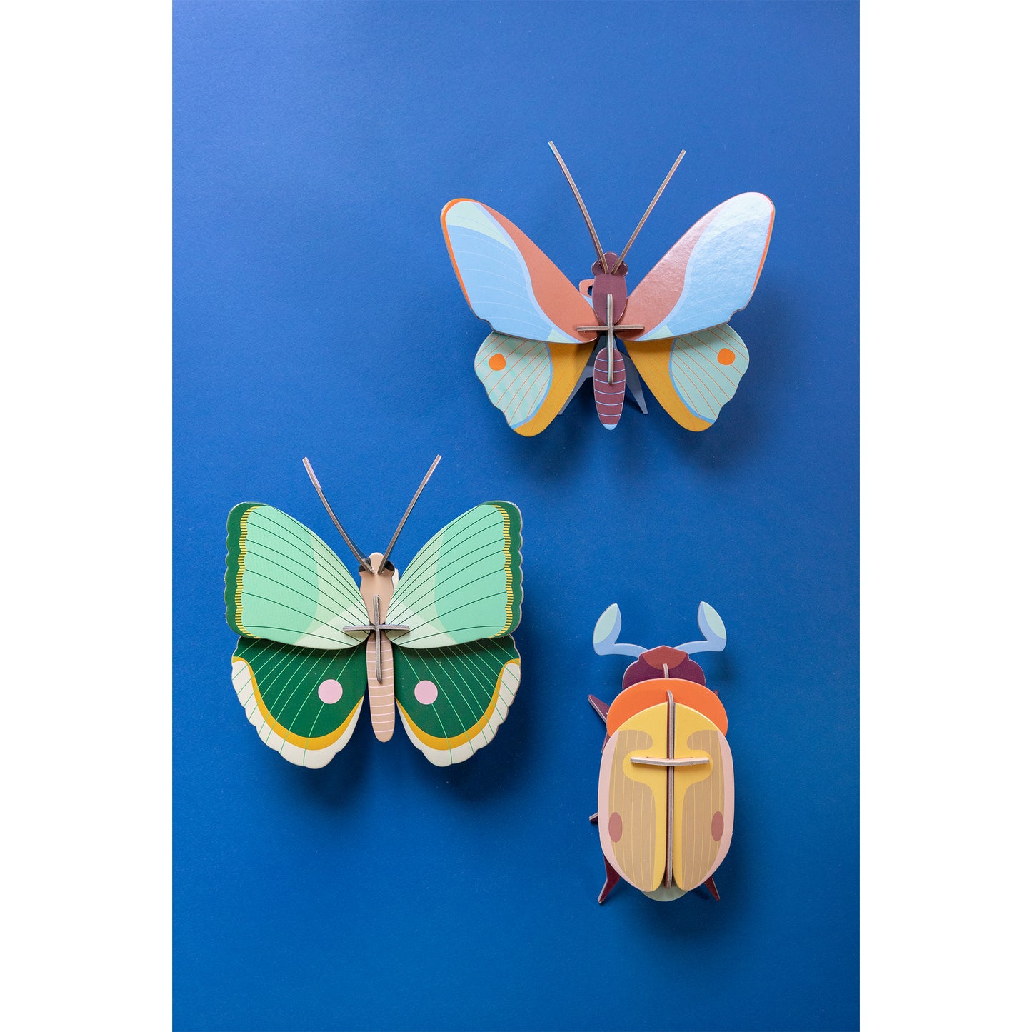 Studio ROOF - Wall Art - Claudina Butterfly