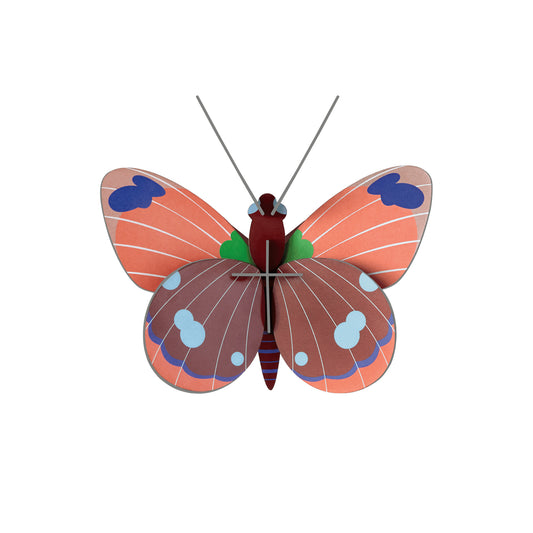 Studio ROOF - Wall Art - Delias Butterfly