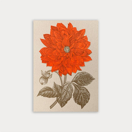 Postkarte Togethery „Dahlie", Format A6, Risographie