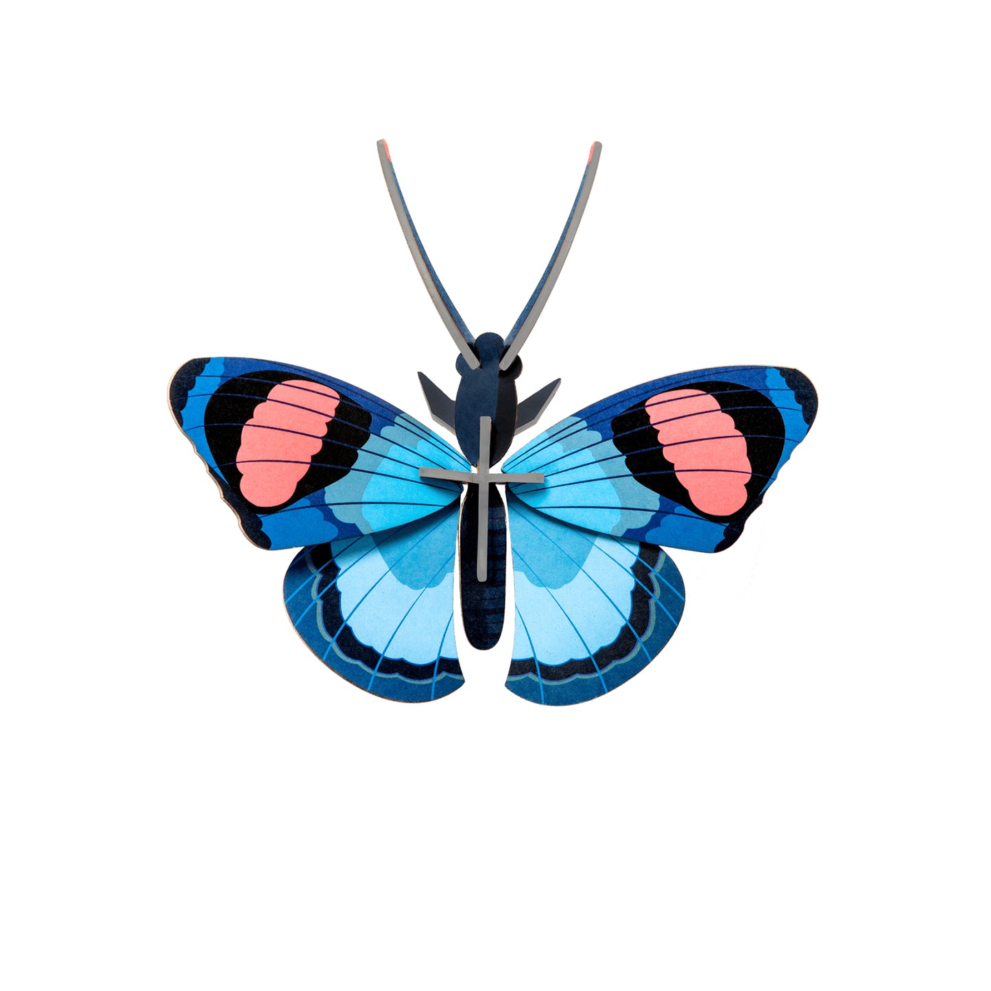 Studio ROOF - Wall Art - Peacock Butterfly