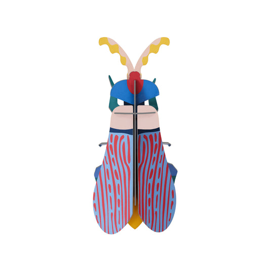Studio ROOF - Wall Art - Striped Wing Beetle