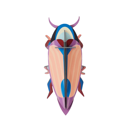 Studio ROOF - Wall Art - Violet Click Beetle